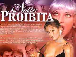 Запретная ночь (2002)