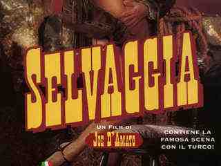 Прекрасная дикарка (1996)