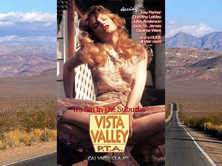 Долина перспектив (1981)