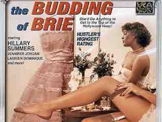 Подающая надежды Бри (1980)