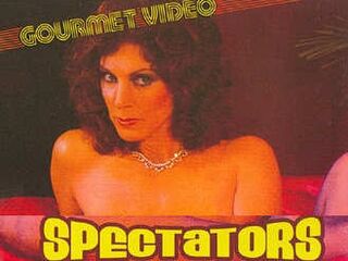 Зритель (1984)