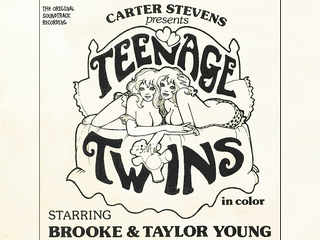 Близнецы (1976)