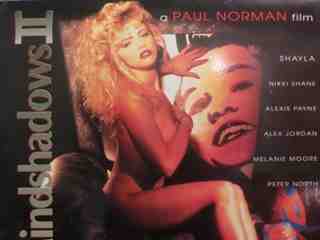 Тени разума 2 (1993)