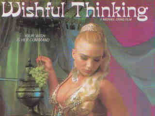 Желаемое за действительное (1992)