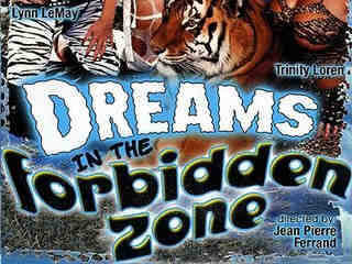 Сны в запретной зоне (1988)