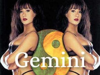 Близнецы (1994)