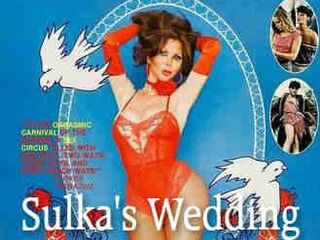 Свадьба Сульки (1983)