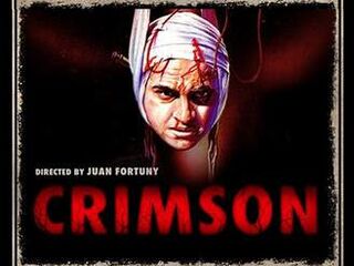 Крысы не спят по ночам (1976)