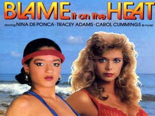 Во всем виновата жара (1989)