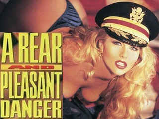 Приятная угроза с тыла (1995)