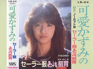 Похотливая дисциплина в униформе (1982)