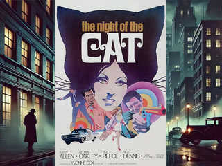 Ночь кошки (1973)